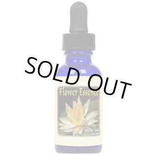 Pegasus Products ペガサス・プロダクツ | ナチュラルスピリット