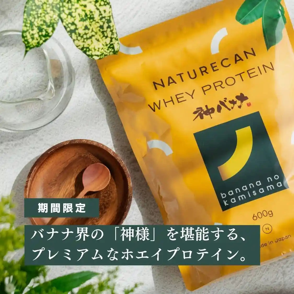 期間限定】ホエイプロテイン（WPC）神バナナ – Naturecan Fitness JP