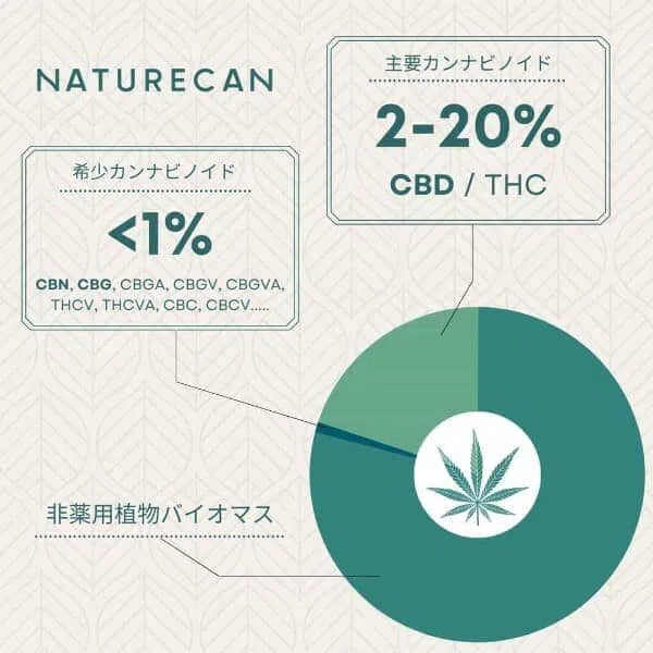 CBGオイル】通販 | Naturecan（ネイチャーカン） – Naturecan JP