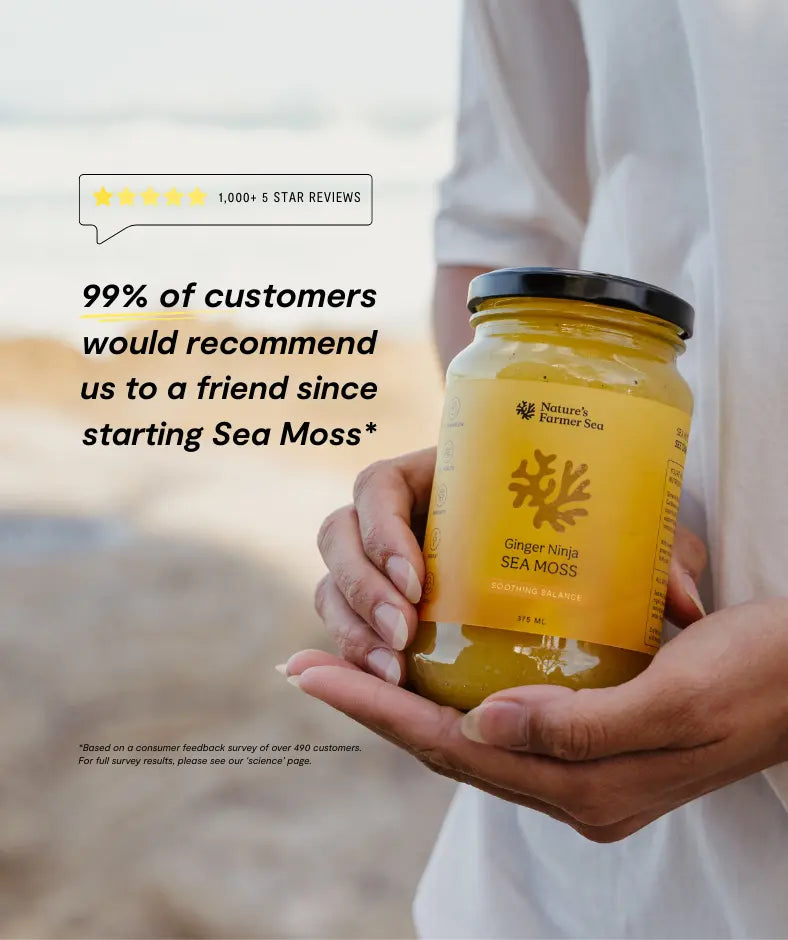 Sea Moss Gel: Ginger Ninja - Nature's Farmer Sea