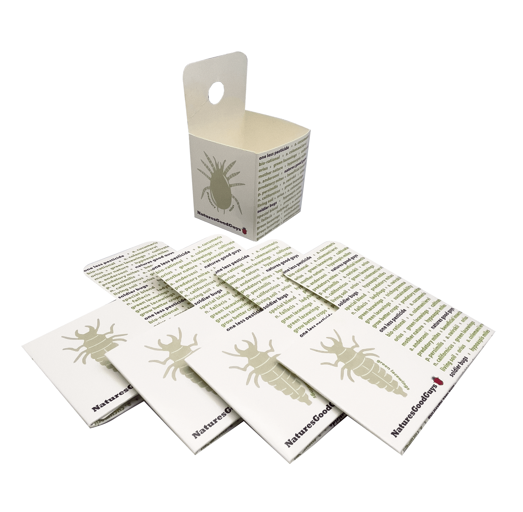 Amblyseius swirskii - Spider Mite, Thrips, & Whitefly Control