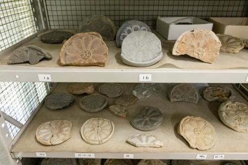 巡訪研究室（23）都城発掘調査部(飛鳥・藤原地区)考古第三研究室