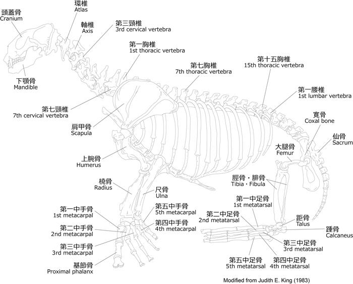 奈良文化財研究所ホームページ