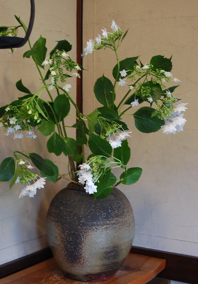 森本英助 備前かせ胡麻大壷 Bizen large jar by MORIMOTO Eisuke 商品