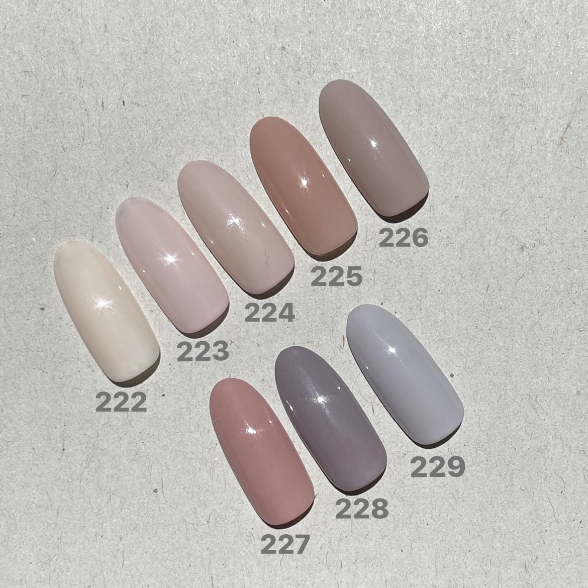 ageha コスメカラー 223 シェルヌード | Nail Labo Online Shop