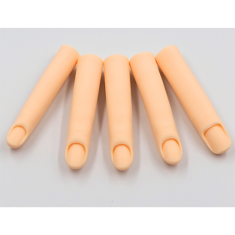 STモデルハンド セット | Nail Labo Online Shop ネイルラボ