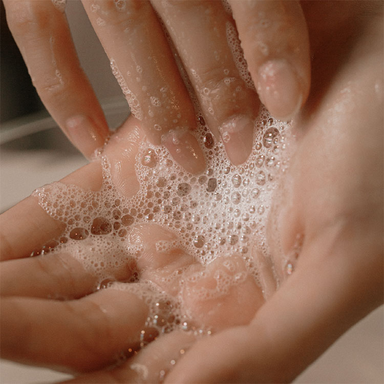 ARTiS di Voce ハンドウォッシュ 220ml 3304 MUSK LAND | Nail Labo