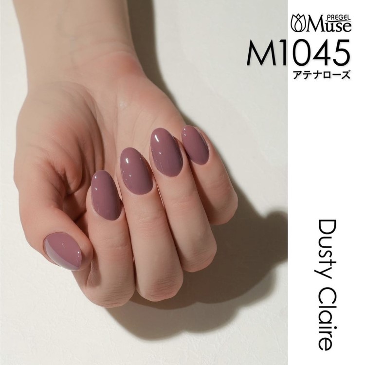 プリジェル ミューズ ダスティークレールシリーズ 3g×6色セット | Nail