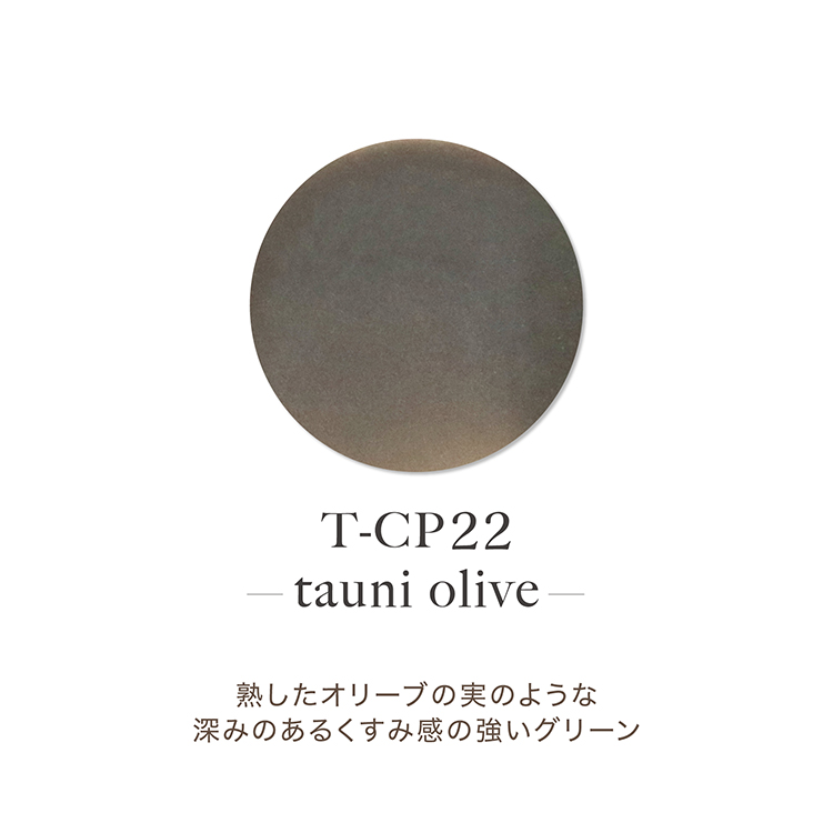 TOY's × INITY アクリルカラーパウダー オリーミーコレクション CP22