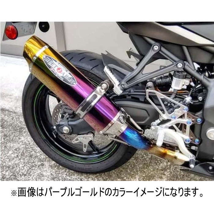 NASSERT-EvoⅡフルエキゾーストマフラー Ninja400 18-23｜フル