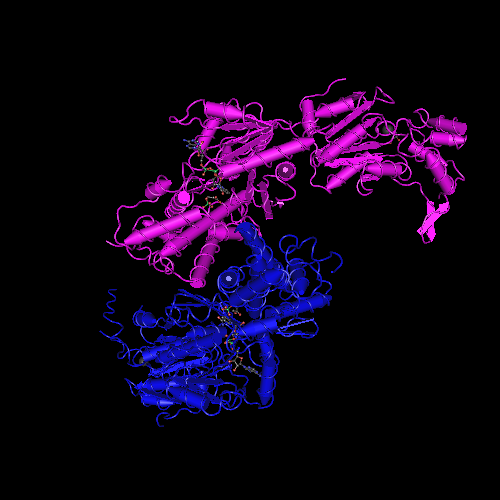 6IUY: Structure of DsGPDH of Dunaliella salina
