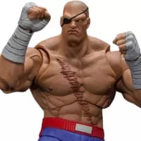 買取】サガット 「ウルトラストリートファイターII ザ・ファイナル