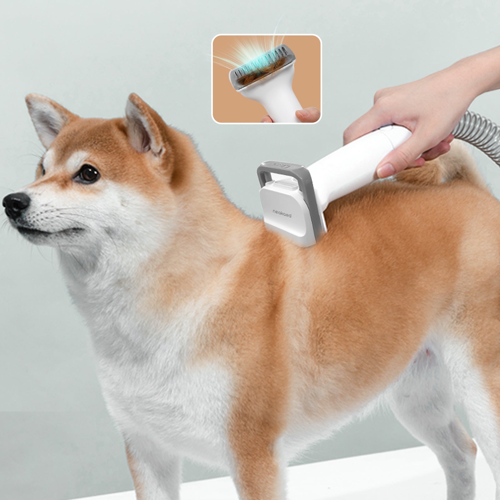 Neakasa P1 Pro ペットグルーミング 掃除機｜5in1セット 多機能 換毛期