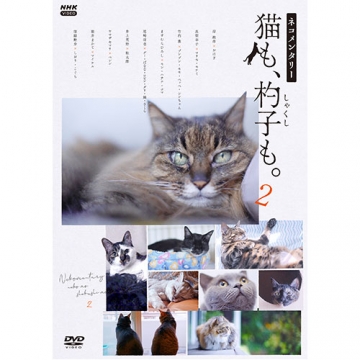 ネコメンタリー猫も、杓子も。2 DVD 全2枚｜ドキュメンタリー｜DVD