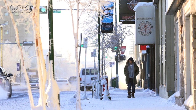 大沢たかお 神秘の北極圏～光と闇の旅～｜番組｜NHKアーカイブス