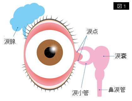 群馬で涙道（なみだ目）治療・手術について | 伊勢崎市 新田眼科