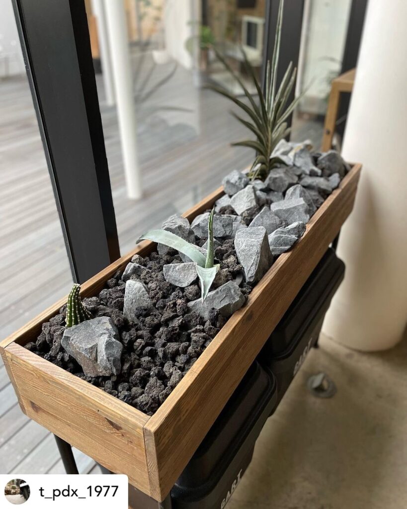 鉢植えドライガーデン：空間を彩るデザインと植物の選び方