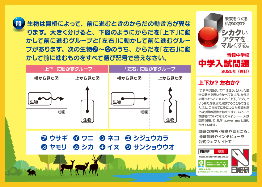 日能研 シカクいアタマをマルくする。