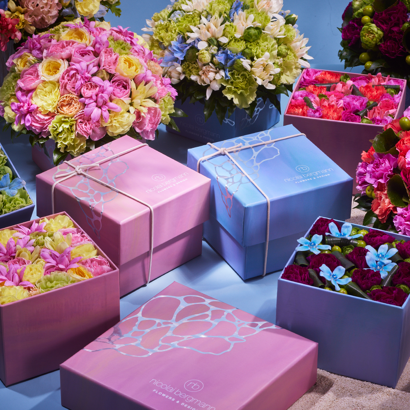 サマーコレクション2024 Coastal Secretsミッドサマーの予約販売開始