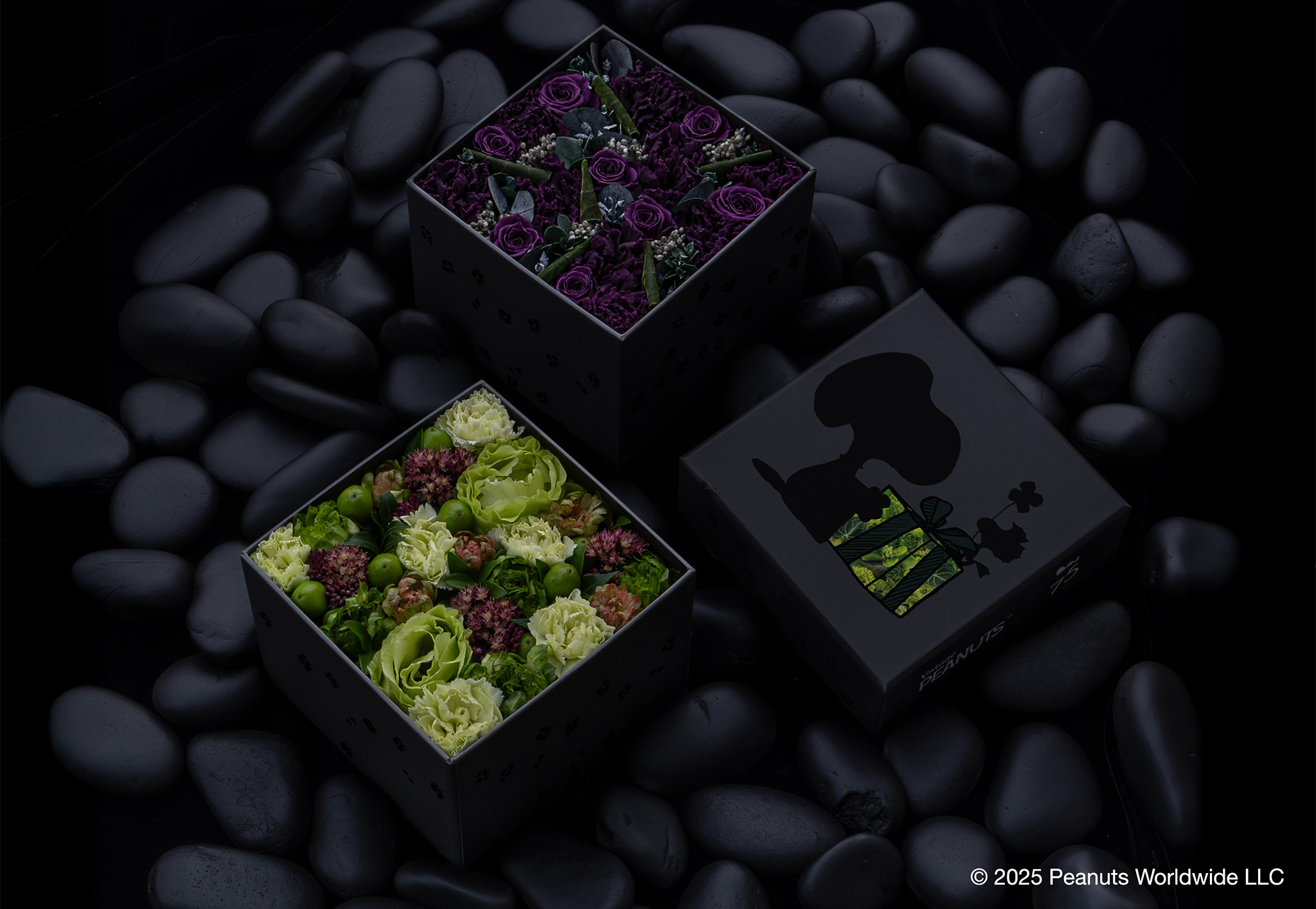 フラワーボックス誕生25周年記念コラボレーション VOL.3: Nicolai