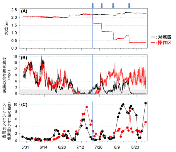 水位操作による富栄養化症状の緩和 ～湖沼における水質管理手法の