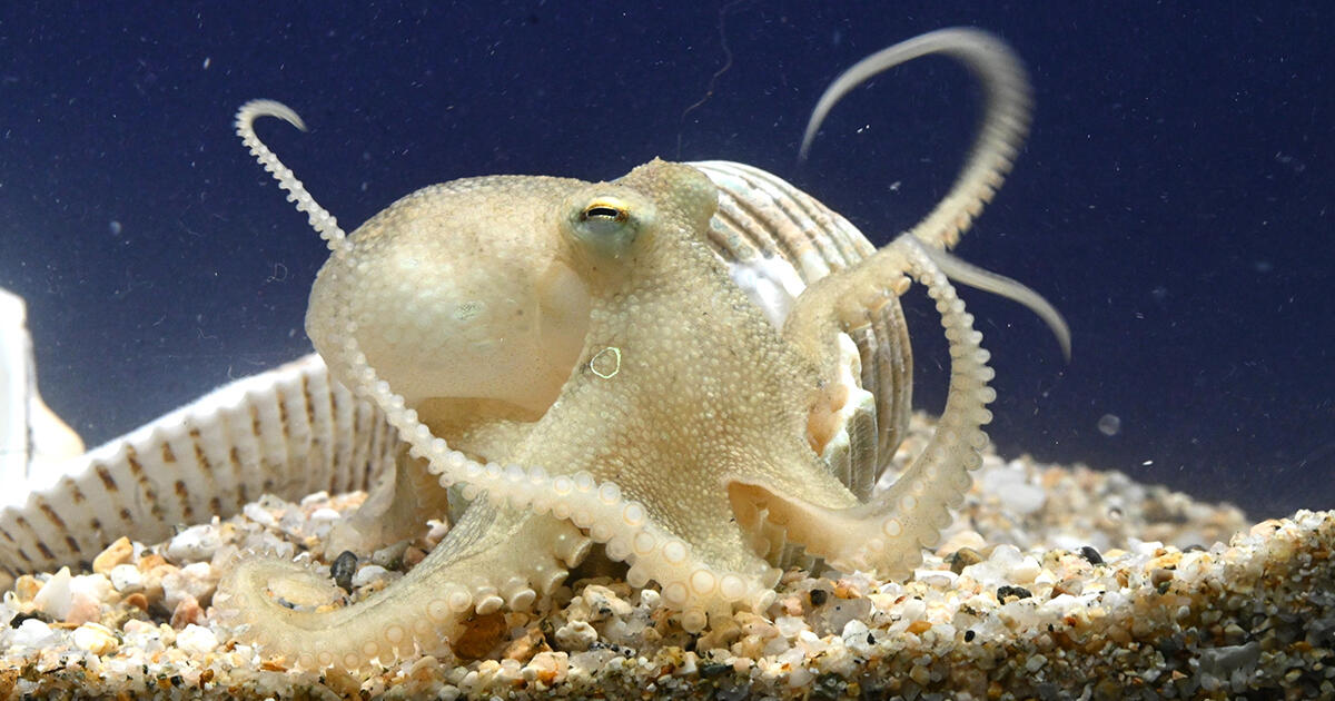 生きもので季節にふれる