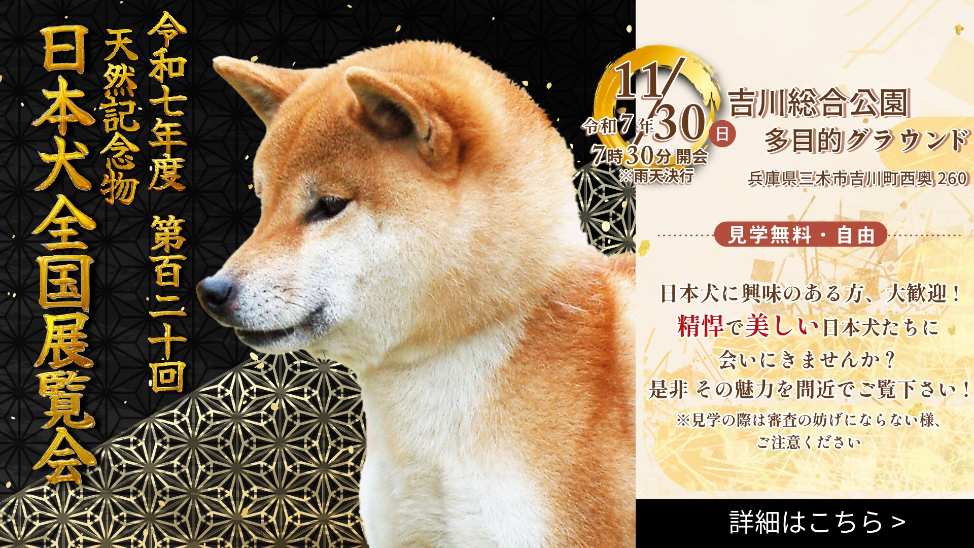 公益社団法人 日本犬保存会 – 日本犬保存会｜柴犬・紀州犬・四国犬