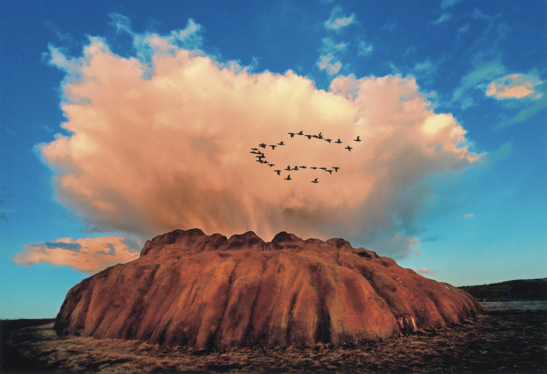 第73回二科会写真部展 – 一般社団法人二科会写真部