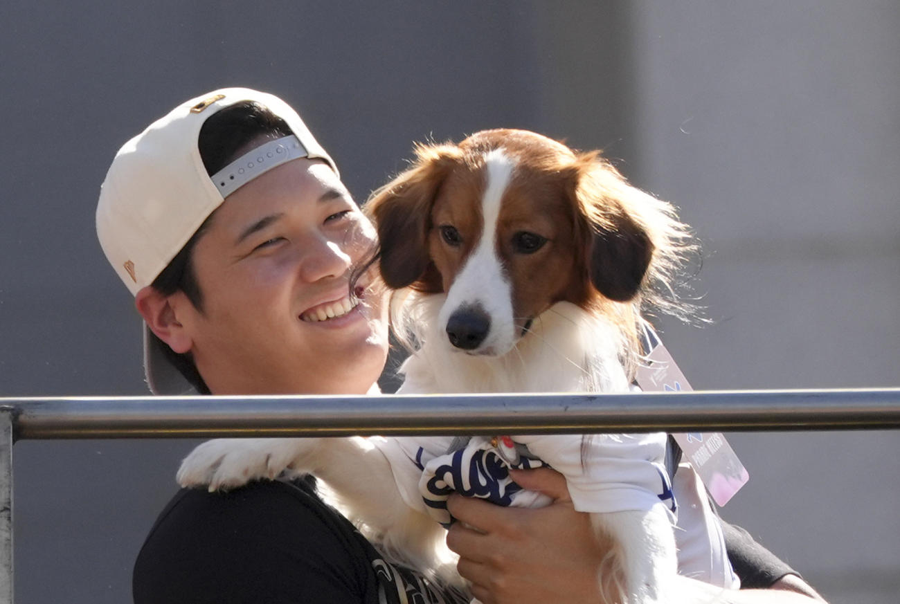 大人気デコピン ドジャースもデコピンを祝福「デコイ、あなたは