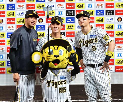 阪神タイガース ボブルヘッド人形 佐藤輝明、才木浩人 2体セット 阪神
