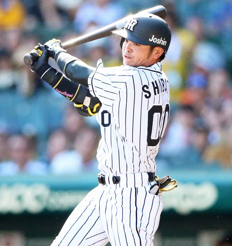 ロッテ15日から阪神戦力外の柴田ら3人をテスト - 野球 : 日刊スポーツ