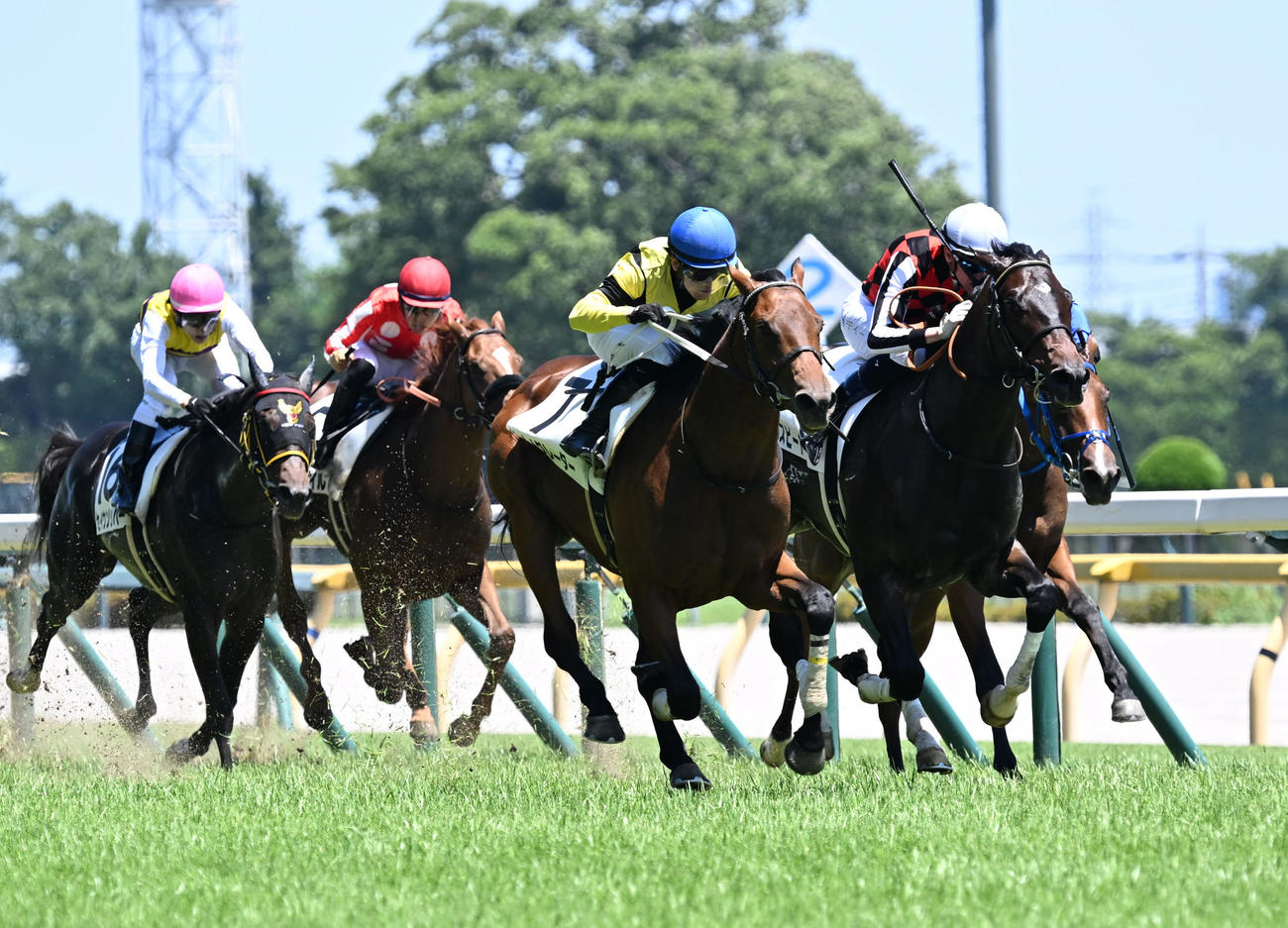 夏競馬でも「ミステリーオッズ」は発生するのか？謎の単勝100万円爆