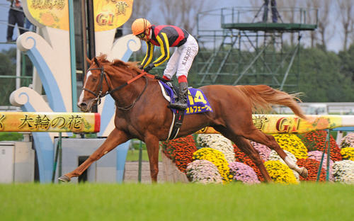 G1復刻】オルフェーヴル7頭目3冠 池添「誇りに思う」歴史に名を刻ん