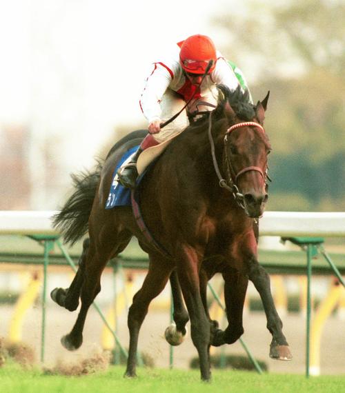 95年JC優勝ランドと同じ独ダービー＆バーデン大賞勝ち馬