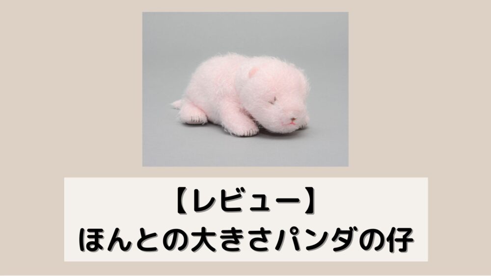 レビュー】ほんとの大きさパンダの仔 | ニッポンパンダ -パンダに