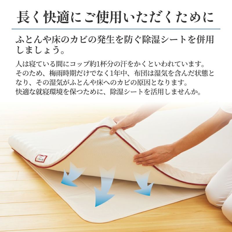 羊毛15層敷きふとん ベージュ/GQ5001 – 西川ストア公式本店