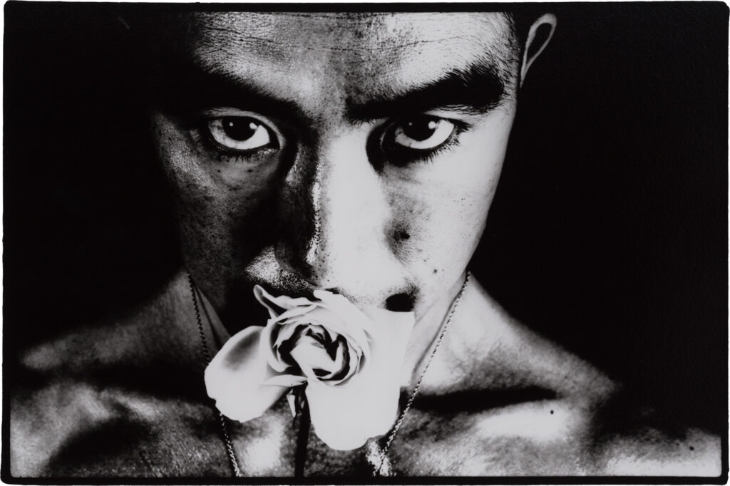 細江英公 薔薇刑より (1961,62) – 西村画廊 Nishimura Gallery