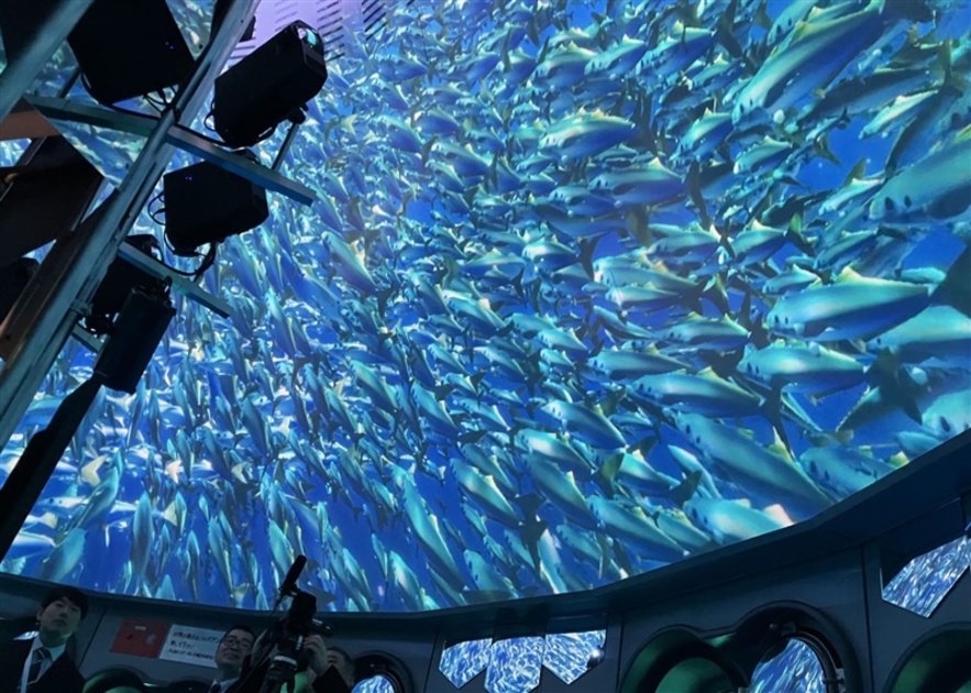 佐賀・波戸岬の玄海海中展望塔リニューアル リアルとデジタルの海中