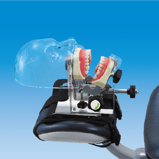 シンプルマネキンⅢチェアマウントセット｜株式会社ニッシン｜歯科模型