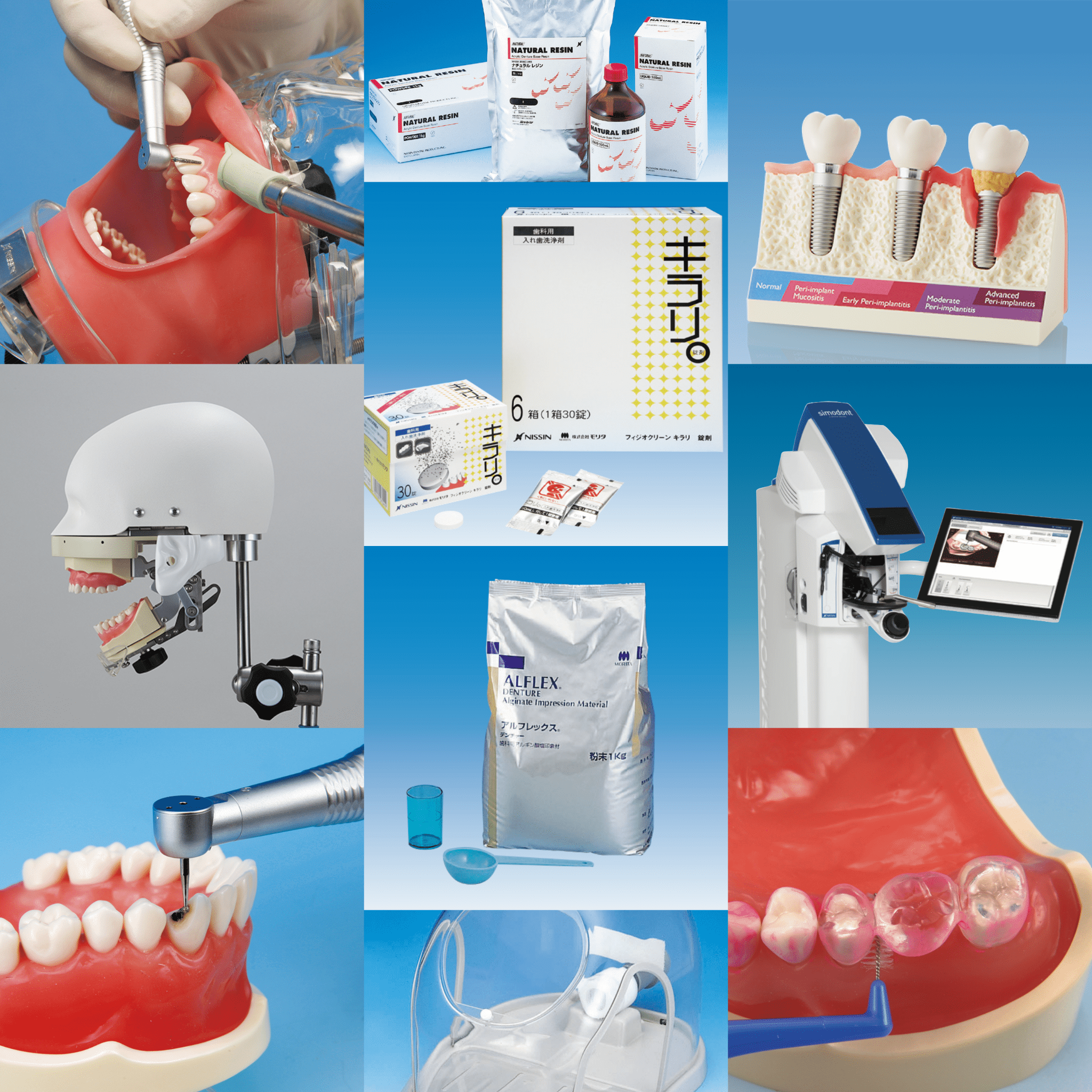 nissin ニッシン 歯 模型 デンタル 創業75周年記念特設サイト｜株式