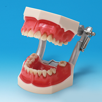 商品情報｜株式会社ニッシン｜歯科模型・歯科材料のトップメーカー