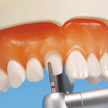 補綴修復実習用顎模型 [D18D-500A-QF](D咬合器つき)｜株式会社ニッシン