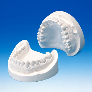 石こう製顎模型 [E3-各種]｜株式会社ニッシン｜歯科模型・歯科材料の