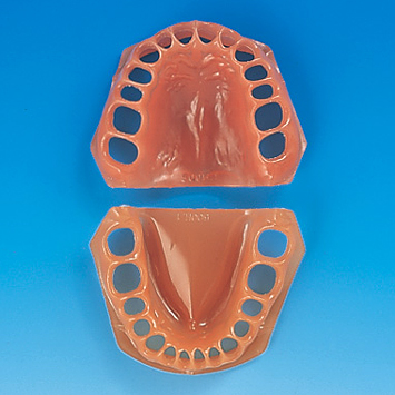 SRP用顎模型 [D18D-500H(GUB)-MF](D咬合器つき)｜株式会社ニッシン