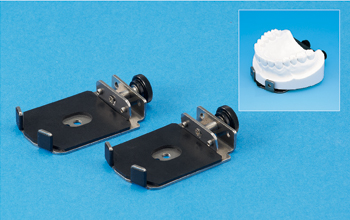 シンプルマネキンⅢ｜株式会社ニッシン｜歯科模型・歯科材料のトップ