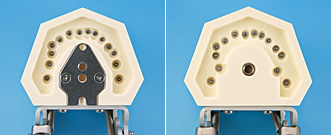 シンプルマネキンⅢ｜株式会社ニッシン｜歯科模型・歯科材料のトップ