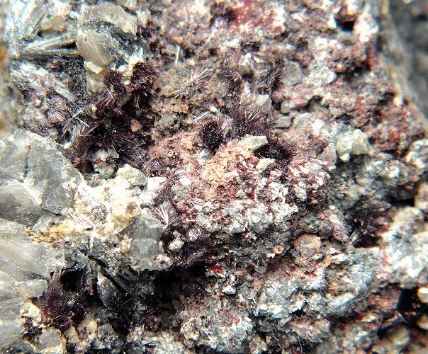 紅安鉱 22 カナダ - 鉱物標本・隕石標本販売のWeb専門店 エヌズ