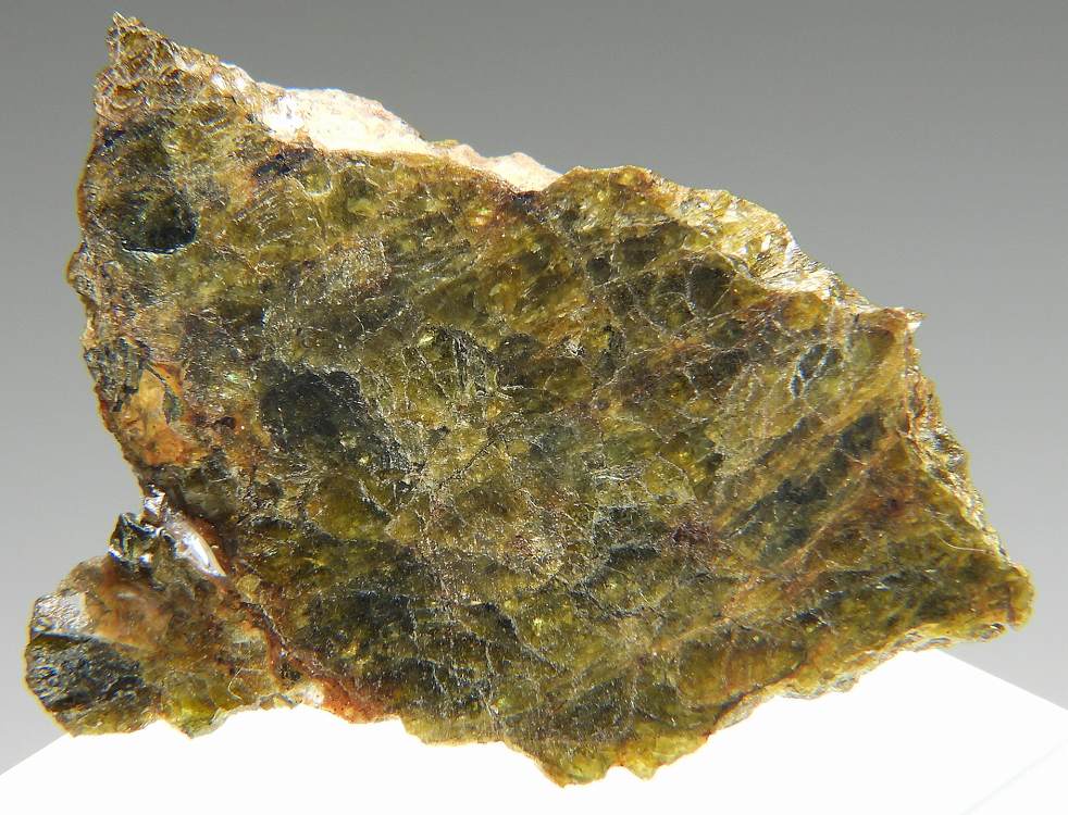 NWA 7831 石質隕石 827 14.13g - 鉱物標本・隕石標本販売のWeb専門店