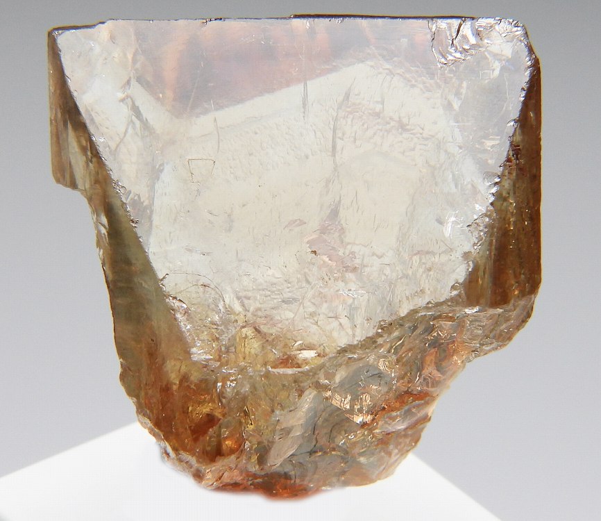 トパーズ 483 パキスタン - 鉱物標本・隕石標本販売のWeb専門店 エヌズ