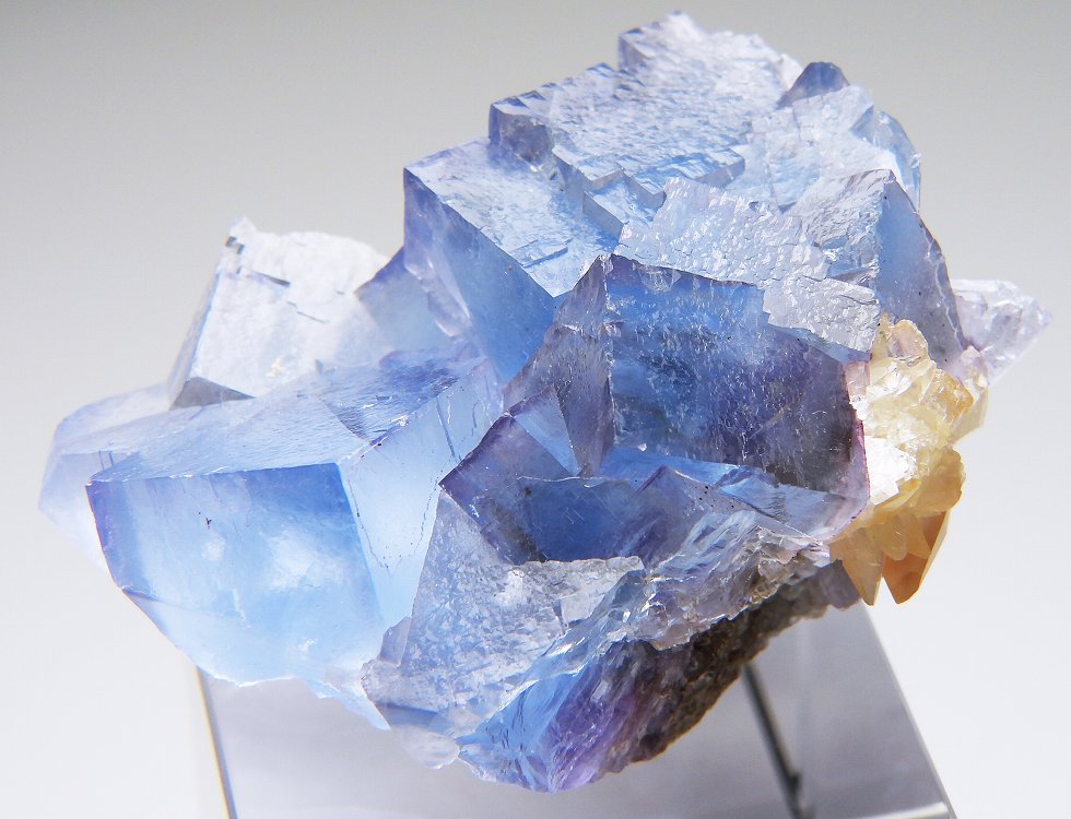 フローライト IL351 イリノイ州 - 鉱物標本・隕石標本販売のWeb専門店